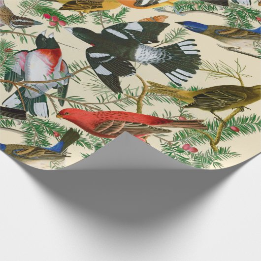 "Baum von Grosbeak" (Vögel) giftwrap Geschenkpapier (Ecke)