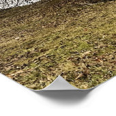 Baum von Pond Poster (Ecke)