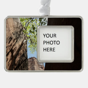 Baum wächst zwischen Felsen im Zion National Park Rahmen-Ornament Silber