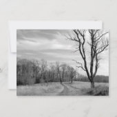 Baum-Weg-rustikale Land-Hochzeits-Einladungen Einladung (Rückseite)