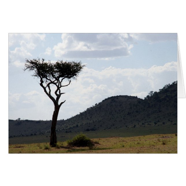 Baumansicht (Vorderseite (Horizontal))