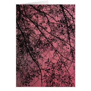 Baumast-Rot, Gute Besserung