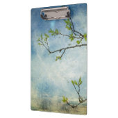 Baumast über strukturiertem Himmel Klemmbrett (Links)