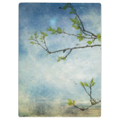 Baumast über strukturiertem Himmel Klemmbrett (Rückseite)