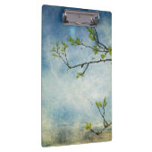 Baumast über strukturiertem Himmel Klemmbrett (Rechts)