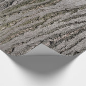 Baumbarken-Beschaffenheitsmuster-Natur-Pflanze Geschenkpapier (Ecke)