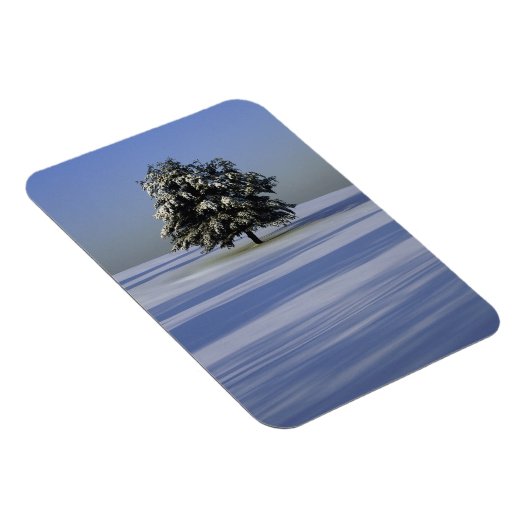 Baumbestand in schneebedeckter Landschaft Magnet (Rechte Seite)