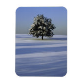 Baumbestand in schneebedeckter Landschaft Magnet (Vertikal)