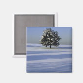 Baumbestand in schneebedeckter Landschaft Magnet (Vorderseite/Rückseite)