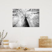 Baumbestand in Schwarz-Weiß Poster (Küche)