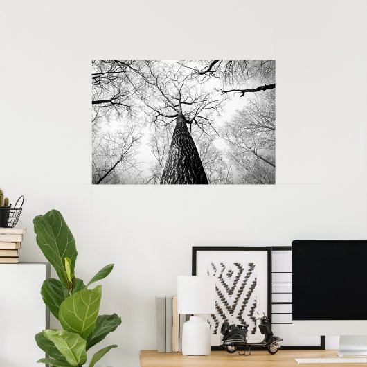 Baumbestand in Schwarz-Weiß Poster (Heimbüro)