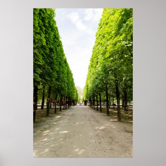 Baumbestandene Promenade Poster (Vorne)