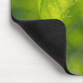 Baumblatt-Bokeh Mousepad (Ecke)