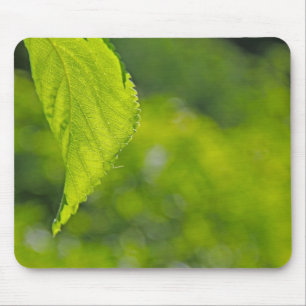 Baumblatt-Bokeh Mousepad