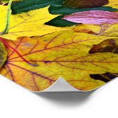 Baumblattstruktur im Herbst Poster (Ecke)