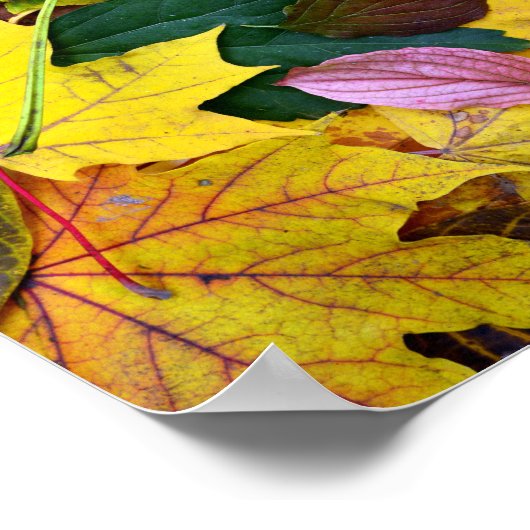 Baumblattstruktur im Herbst Poster (Ecke)