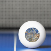 BAUMBLÜTE TISCHTENNISBALL (Netto)