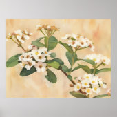 Baumblüten Blumenkunst Druck Poster (Vorne)