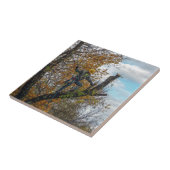 Baumchirurg Fliese (Seite)