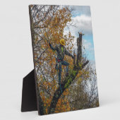 Baumchirurg Fotoplatte (Seite)