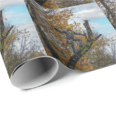 Baumchirurg Geschenkpapier (Rolleneckpunkt)