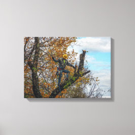 Baumchirurg Leinwanddruck