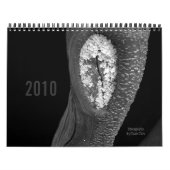 Bäume 2010 kalender (Titelbild)