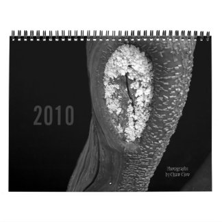 Bäume 2010 kalender