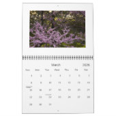 Bäume 2010 - Kalender (Mär 2026)
