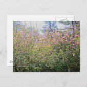 Bäume #3 postkarte (Vorne/Hinten)