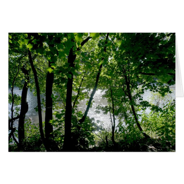 Bäume am Fluss (Vorderseite (Horizontal))