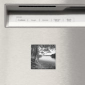 Bäume am Fluss B&W Magnet (In Situ (Geschirrspüler))