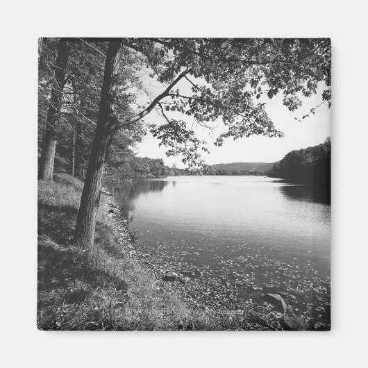 Bäume am Fluss B&W Magnet (Vorne)