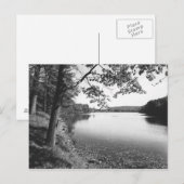Bäume am Fluss B&W Postkarte (Vorne/Hinten)