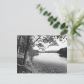 Bäume am Fluss B&W Postkarte (Stehend Vorderseite)