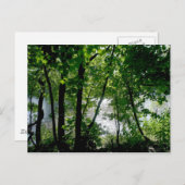 Bäume am Fluss Postkarte (Vorne/Hinten)