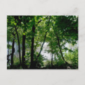 Bäume am Fluss Postkarte (Vorderseite)