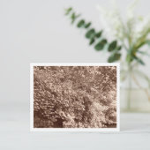 Bäume am Kanal Postkarte (Stehend Vorderseite)