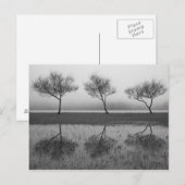 Bäume am See Postkarte (Vorne/Hinten)