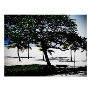 Bäume am Strand, Santos, Brasilien Poster