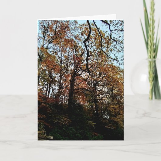 Bäume auf der Bank Karte (Vorderseite)