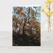 Bäume auf der Bank Karte (Gelbe Blume)