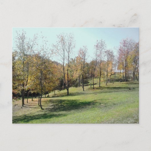 Bäume auf der Postkarte für das Foto Slope 2004 (Vorderseite)