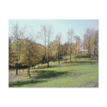 Bäume auf der Postkarte für das Foto Slope 2004