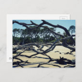 Bäume auf Jekyll Postkarte (Vorne/Hinten)