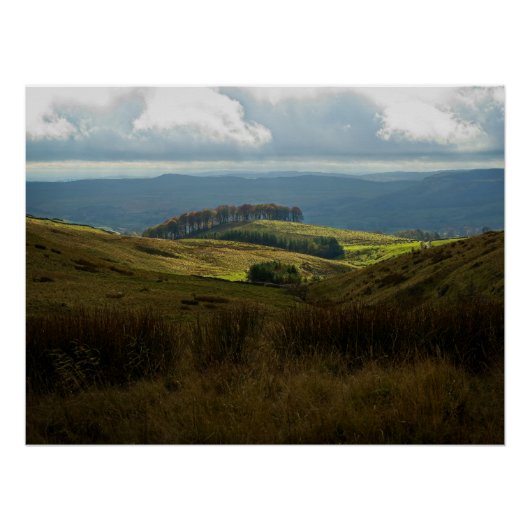 Bäume auf sonnenbeleuchteten Hügeln im Frühherbst Poster (Vorderseite)