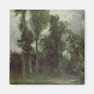 Bäume bei Hampstead Magnet