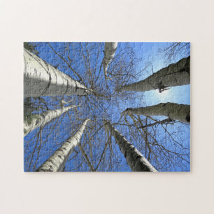 Bäume Birke Natur Wald. Puzzle