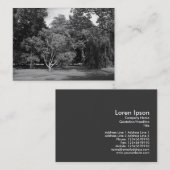 Bäume, Bute Park, Cardiff BW Visitenkarte (Vorne/Hinten)