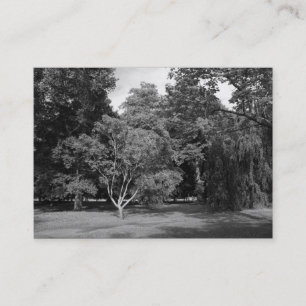 Bäume, Bute Park, Cardiff BW Visitenkarte